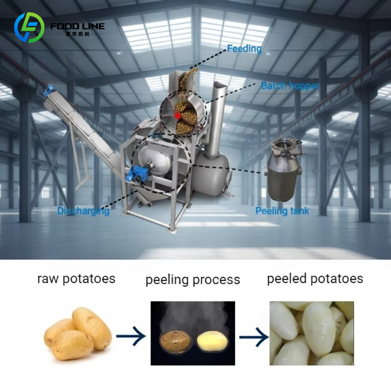 Machine à peler à la vapeur au - Commercial Potato Peeler avis et prix
