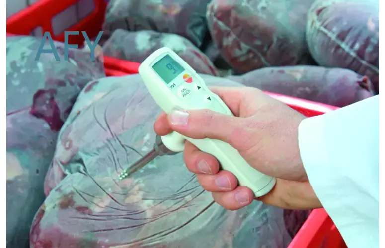 Thermomètre alimentaire testo  - Commercial Kitchen Inspection avis et prix